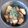 プロバ's cooksnap of when they made 超簡単！チキンのテリ生姜丼.