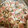 ちこちこ8's cooksnap of when they made 定番 豚挽きと玉ねぎのシューマイ.