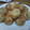 IloveQoo's cooksnap of when they made わが家のたこ焼き.