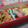 yukanosuke's cooksnap of when they made いんげんのゴママヨ和え.