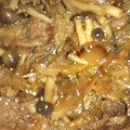 にゅりぴょん's cooksnap of when they made 牛肉とシメジのオイスターソース炒め.
