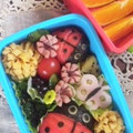 にんまりママ's cooksnap of when they made 春のてんとうむし弁当.