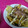 かお0117's cooksnap of when they made 簡単　お好み焼き風　オムレツ.