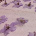 ＊ペロ＊'s cooksnap of when they made スミレの砂糖漬け.