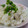 そらてんママ's cooksnap of when they made 鶏ごぼうのピラフ.