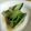 優杏ママ's cooksnap of when they made やみつき・きゅうり.