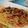 LocomocoHI's cooksnap of when they made ベーコンとケイパーのトマトソースパスタ。.