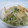 そのりり's cooksnap of when they made 豆苗ともやしの油揚げ炒め☆.