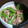 ひなっちち's cooksnap of when they made 超簡単　新玉ねぎと絹さやの梅和え.