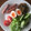 サーフブレイド's cooksnap of when they made とろーり味付け☆半熟煮たまご.