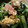 ダビデ's cooksnap of when they made 菜の花とウインナーの卵炒め.