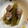 キュウリ星人's cooksnap of when they made ふきとベーコンのさっと煮.