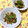 ふたごゆき's cooksnap of when they made 今日の夕食は！なすと豚肉のしょうが炒め.