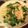 tomoyoy's cooksnap of when they made ほうれん草＆ベーコン入「ぺペロンチーノ」.