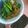 ★れおん★'s cooksnap of when they made じゃこねぎさらだ.