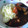 しょこたん501's cooksnap of when they made 圧力鍋で簡単カレー★ とろとろ編♥.