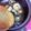 まゆげむし's cooksnap of when they made 海老とマッシュルームのアヒージョ.