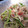 Marrietty's cooksnap of when they made 蒸し鶏ときゅうりのごまだれサラダ.