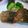 usaco3's cooksnap of when they made さばのレモンバター醤油.