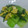 arisuhime's cooksnap of when they made 青梗菜と卵の炒め物.