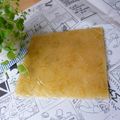 おっしょさん's cooksnap of when they made 。・☆ゼリ～なシート*マーマレード☆・。.