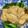 エスペロス's cooksnap of when they made 簡単！作り置き＊ふっくら油揚げの含め煮.