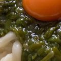 MULA's cooksnap of when they made 生めかぶうどん.