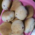 rien1224's cooksnap of when they made ホットケーキミックスで焼きチョコパン.