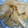 ユーロン's cooksnap of when they made 白菜の煮びたし・おかか和え.