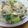 さっくー's cooksnap of when they made ＊鶏だんごと春雨のスープ＊.