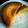 淑瑛♪'s cooksnap of when they made ☆簡単☆しっとりかぼちゃケーキ☆.