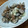 さっちゃん←元こ茄子's cooksnap of when they made あさりの酒蒸し.