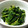 ミセスよしこ's cooksnap of when they made かなるンちのほうれん草ののりしょうゆあえ.