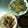 ボヘミー's cooksnap of when they made チヂミのたれ.