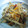fayerui's cooksnap of when they made 我が家の＊きんぴらごぼう＊.