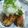 sugarv's cooksnap of when they made ☆サバのから揚げ☆.