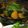 大西あけみ's cooksnap of when they made 南瓜の煮物.