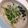 こゆきちぁん's cooksnap of when they made ＊水菜の辛子ゴマ和え＊.