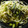 maruru-nn's cooksnap of when they made 簡単　キノコの和風パスタ（梅風味）.