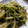 maruru-nn's cooksnap of when they made もやしと水菜の炒め物.