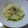 みあ's cooksnap of when they made 新キャベツとえのきのバター炒め.
