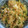 サーフブレイド's cooksnap of when they made ヘルシー！鮭フレークとピーマンの炒飯風！.