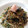 ３児ママCafe's cooksnap of when they made 納豆焼き蕎麦.