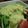 ほりまり's cooksnap of when they made ★キウイドレッシングのとまとサラダ★.