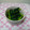 そらてんママ's cooksnap of when they made 簡単☆小松菜の塩こんぶ和え.