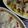 ✩KINA✩'s cooksnap of when they made 餃子の皮で超簡単！ラザニア.