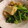 さんぱうろ's cooksnap of when they made 厚揚げと小松菜の炒め物.