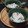 baromaman's cooksnap of when they made 〜＊魚缶、ちょっと一手間でおつまみに＊〜.