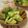 vegeange's cooksnap of when they made たけのことフェンネルのマリネ.