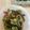 クックNAEUWO☆'s cooksnap of when they made すっぱめ！きゅうりとわかめの酢の物.